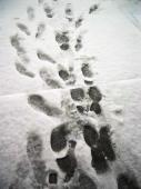 Toulouse-neige-676.jpg